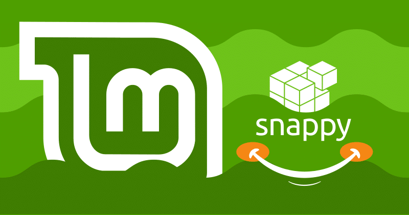 How to enable Snap on Linux Mint 20