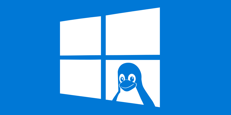 Windows Subsystem For Linux Explained, WSL & WSL2
