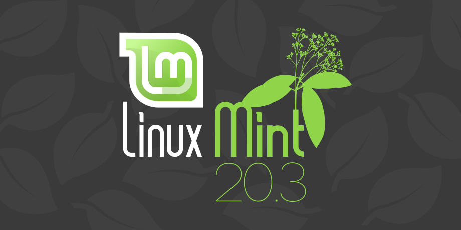 Linux Mint 20.3 Una