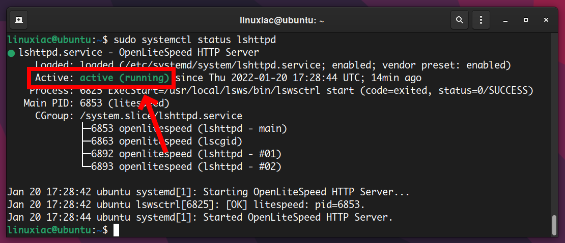 How To Install OpenLiteSpeed Web Server And PHP 8 On Ubuntu 20 04