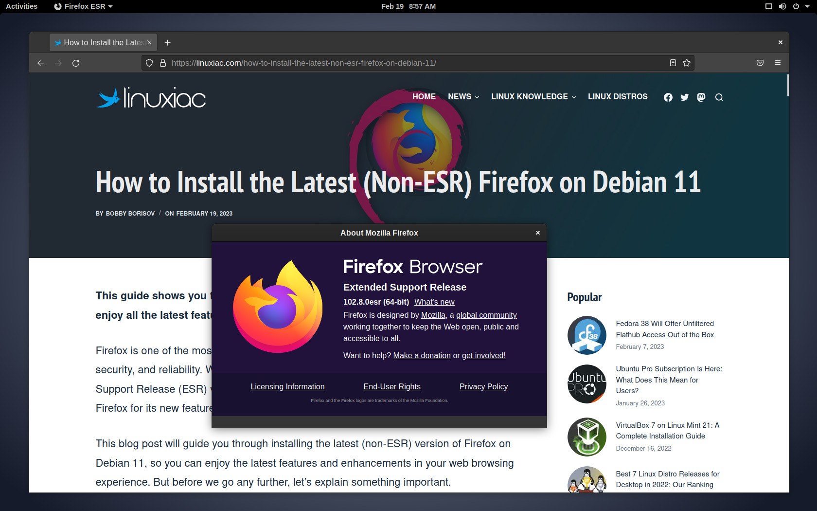 what is firefox esr version