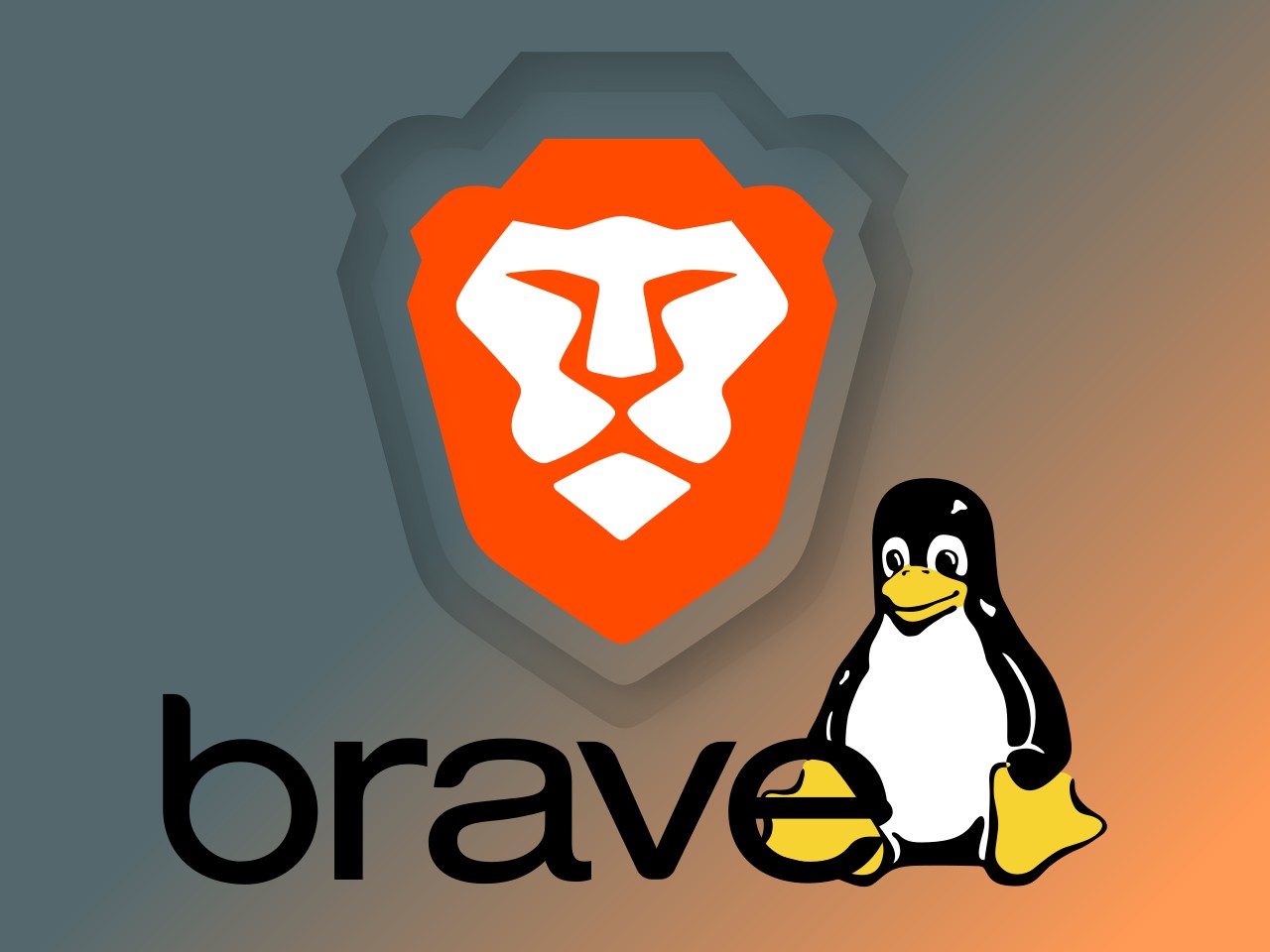 Officialbrave fit