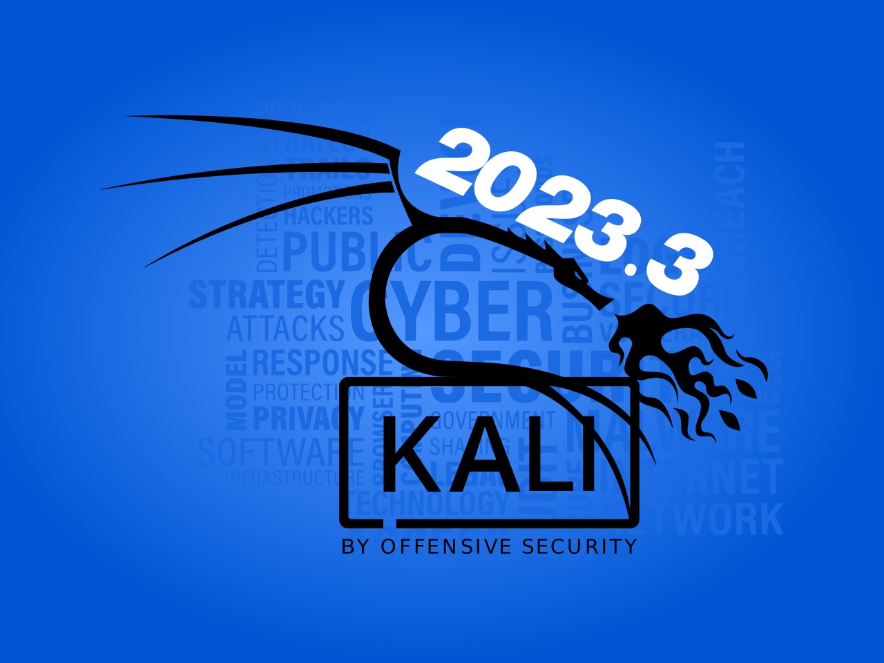  Kali Linux